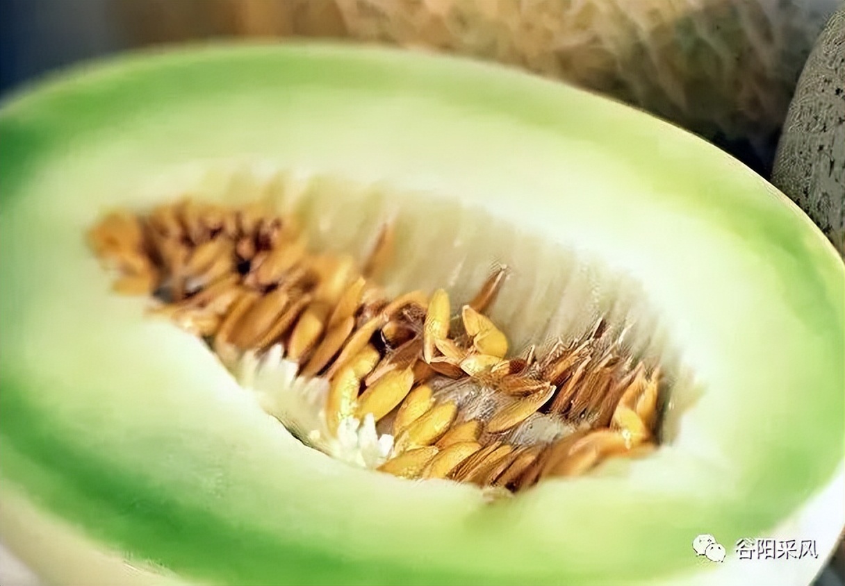 固镇美味香喷喷的小香瓜,话说固镇之722)