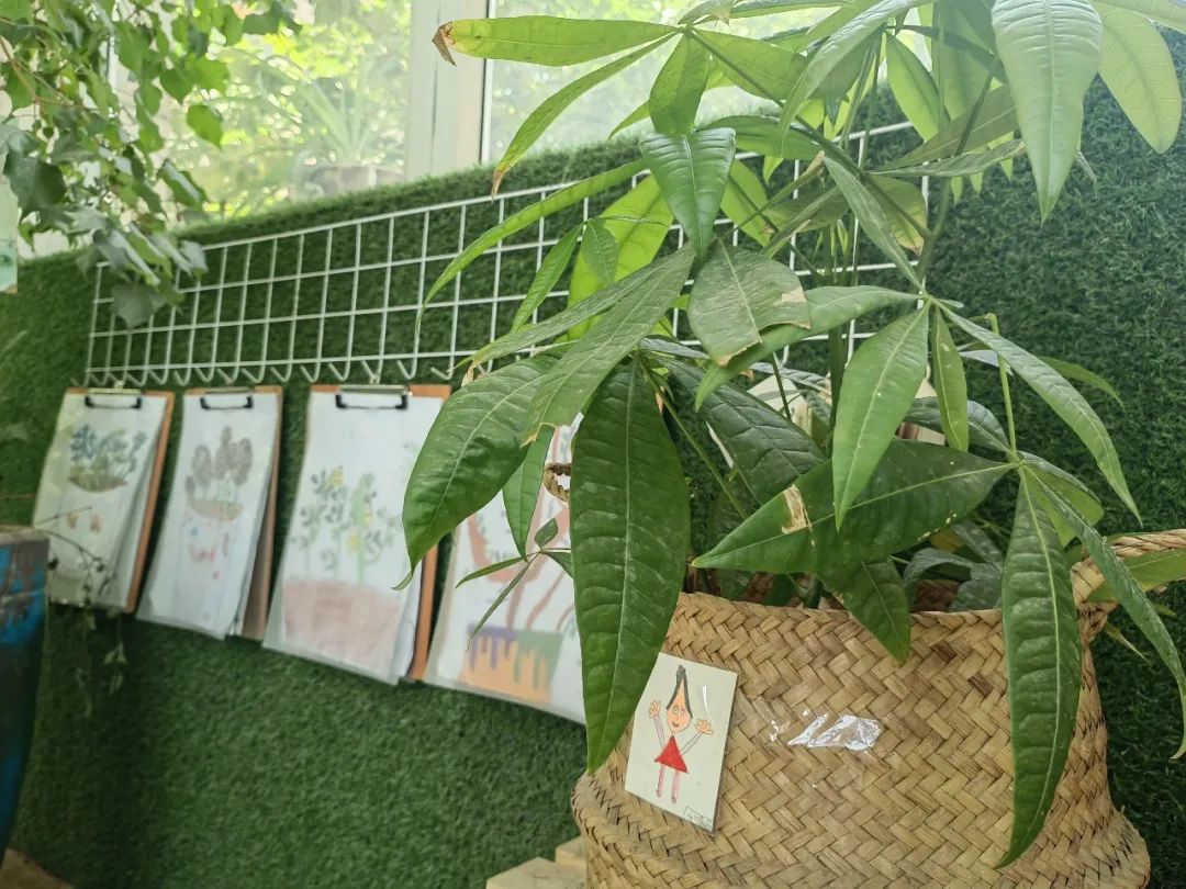 倾听儿童相伴成长主题墙幼儿园,倾听儿童相伴成长幼儿园小班视频