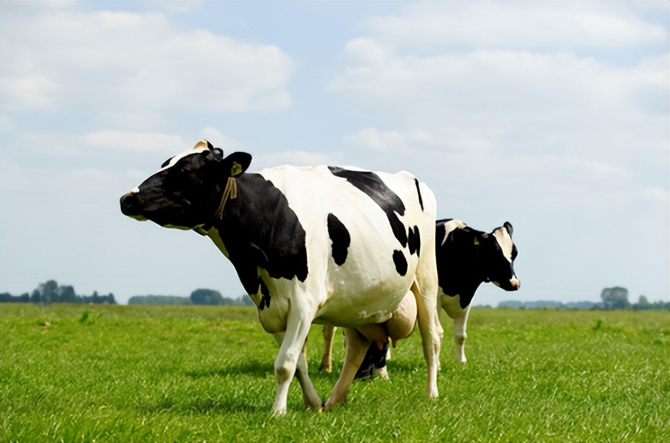 美素佳儿源悦为什么这么多泡泡,美素佳儿源悦缺点