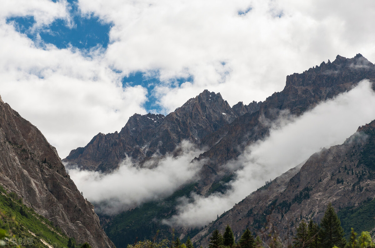 2023年公共营养师学历政策,广东省营养师协会公共营养师证书