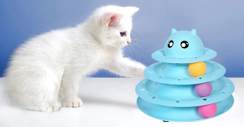 tiktok鐮翠嚎绮変笣瑙傜湅,tiktok鐮翠嚎绮変笣鍏虫敞