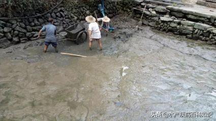 鱼塘淤泥要怎么处理,鱼塘底淤泥怎么处理