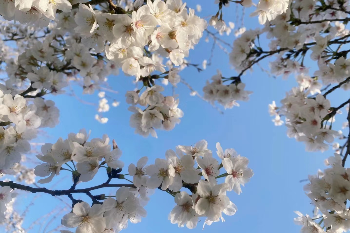 国际贸易合同十一项条款,国际贸易合同正文的六大条款名称