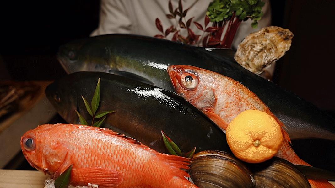 觅·「黑珍珠Omakase」の匠心情怀，收藏好这份指南