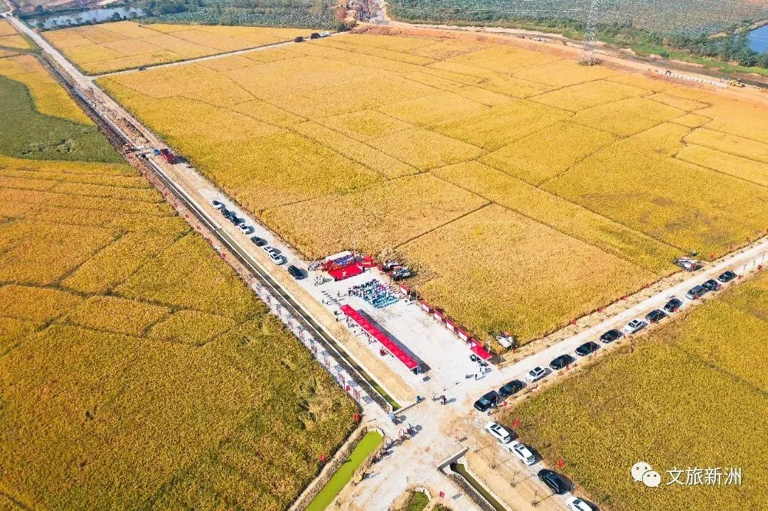 2022新洲文旅精彩不断，2023诗与远方步履不停