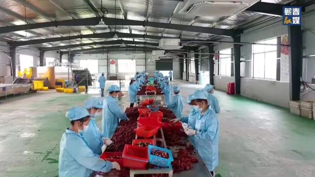 直击现场合集,直击现场拍摄