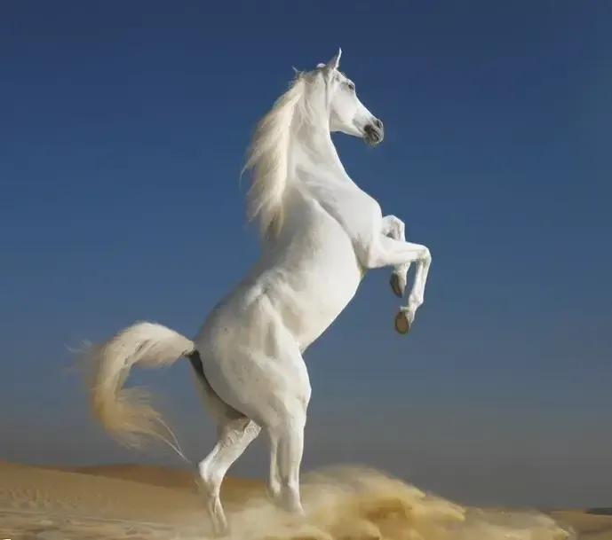 为什么总没有存到钱,为什么一直没有钱存