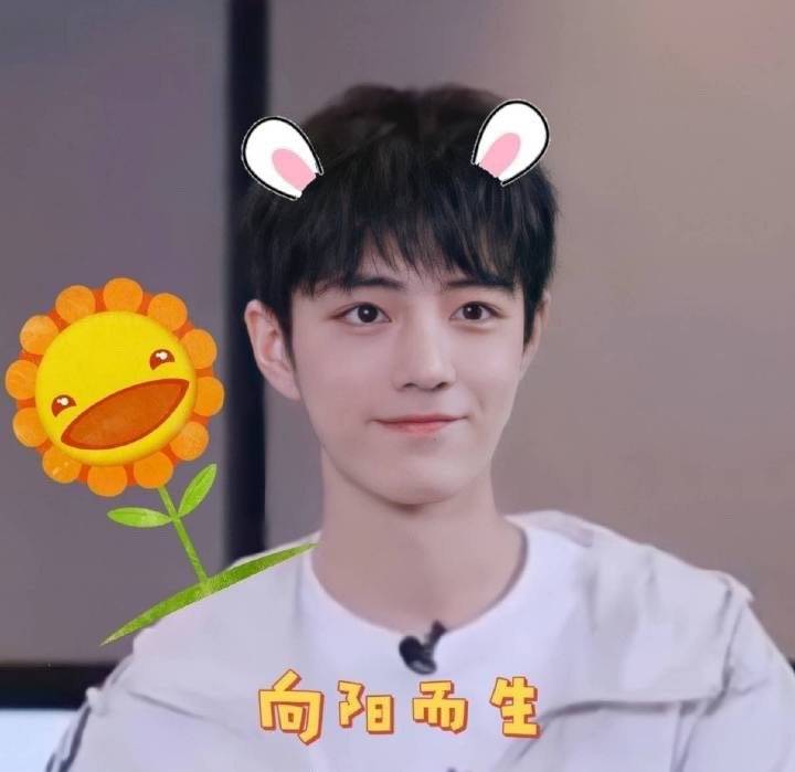 肖战更新照片,肖战新动态接受采访