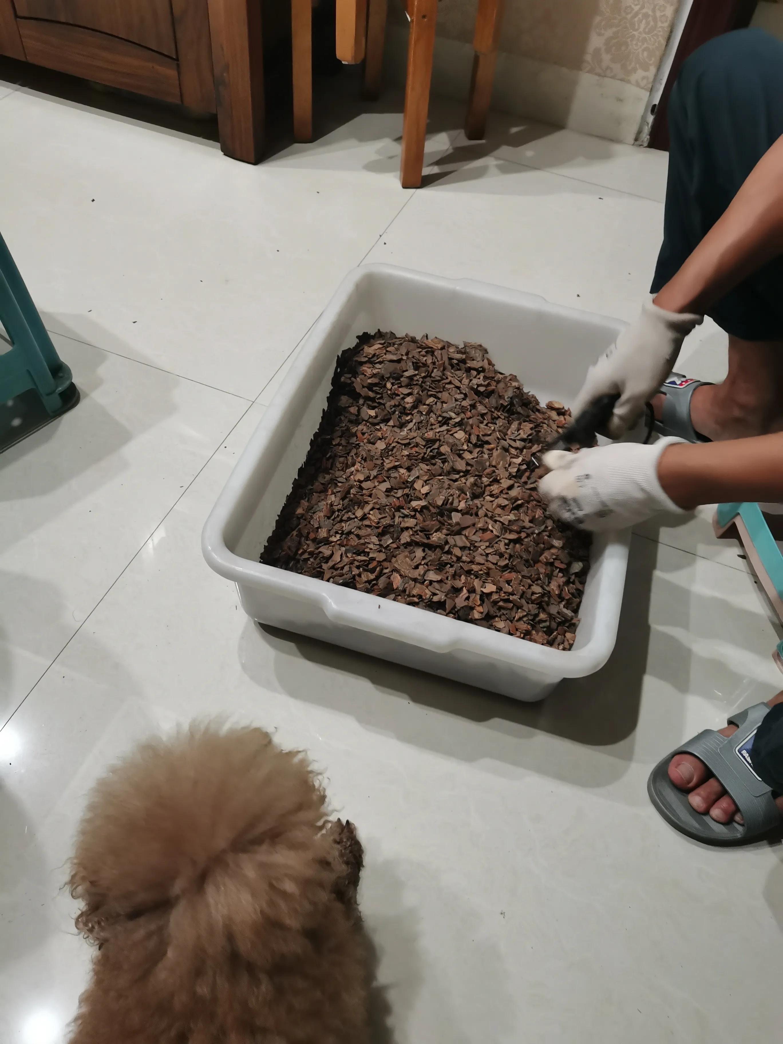 捡来的树皮怎么杀菌,捡了的树皮如何处理