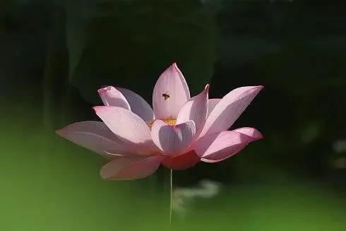 相由心生如何修炼,相由心生怎样才能变好看