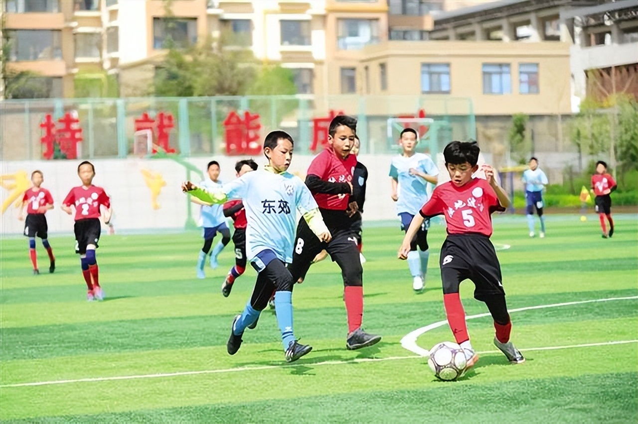 冰岛足球队世界杯晋级精彩时刻,甘肃省业余足球队淘汰北京国安