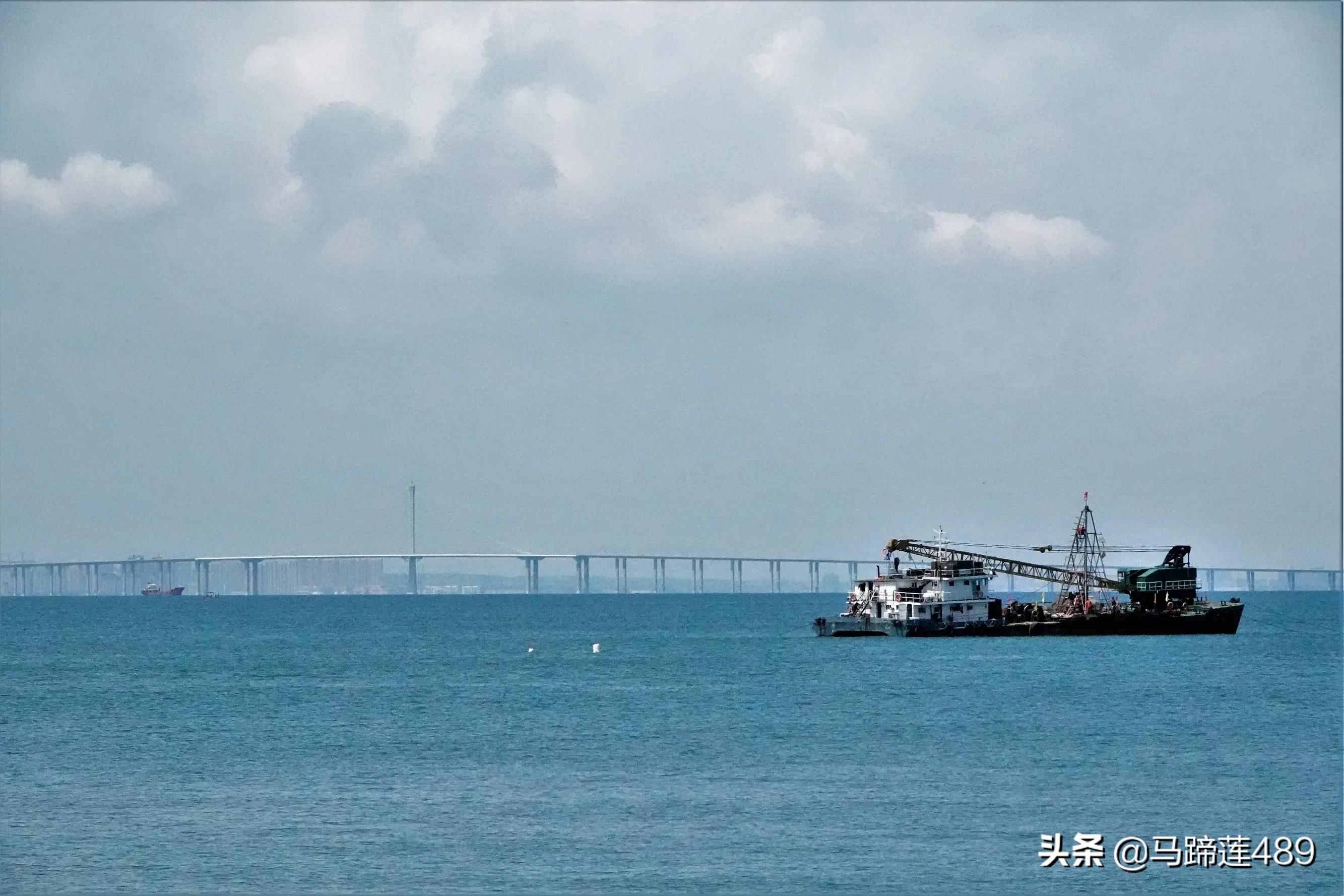 青岛金茂湾,青岛金茂湾地址