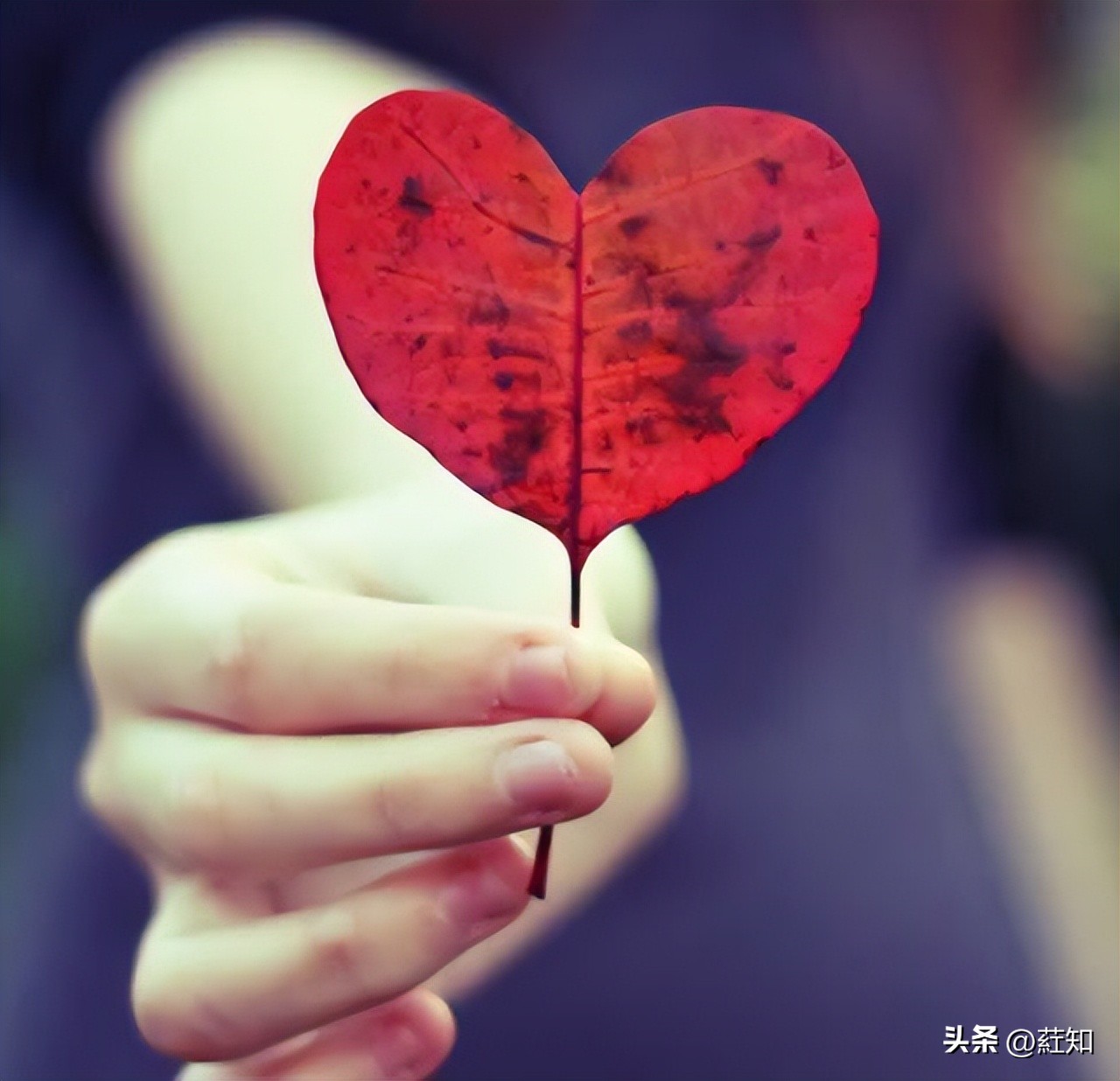 无聊的生活2023.06.20