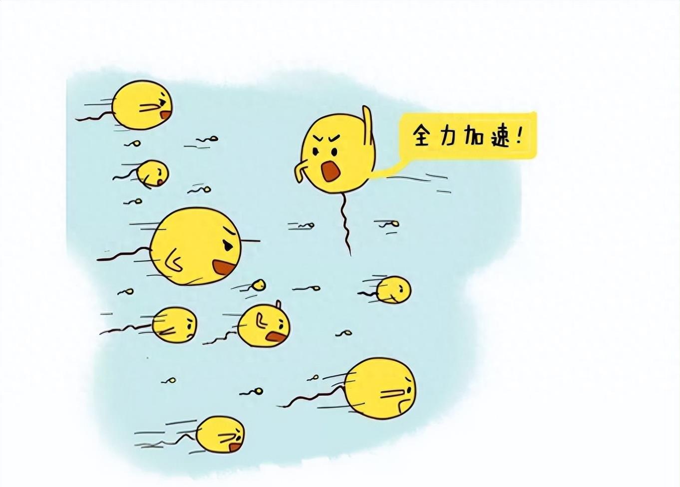 失落的小勇士们,踏上了怀孕之路