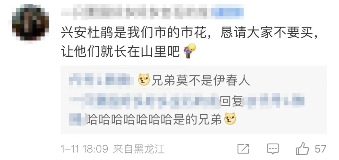 权威解读谣言粉碎机,谣言粉碎机