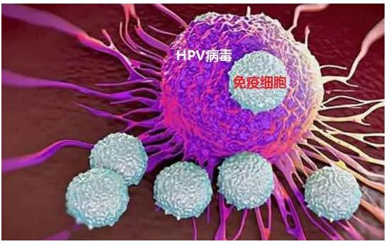 21岁女子确诊宫颈癌痛哭自责,23岁女子外阴癌前病变