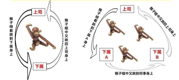 猴子管理法则,猴子管理法则案例分析