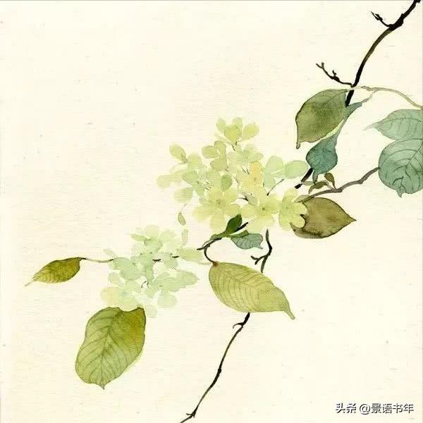 古言小说推荐榜文笔好的男强女强,言情小说推荐甜宠文马甲女强完结