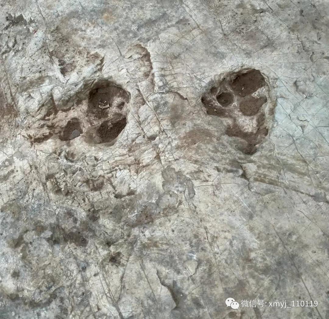 春天的脚步的唯美句子,春天的脚步原唱完整版