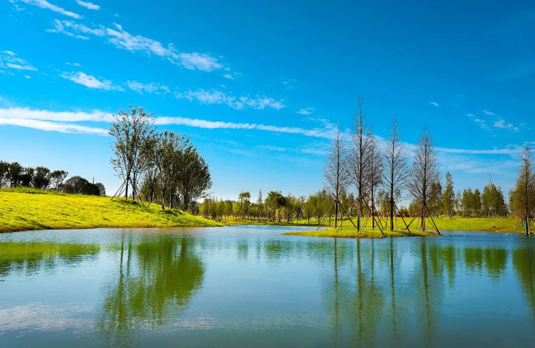 一座“追光”之城背后的软实力