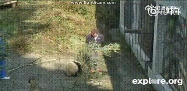 考古爱宝,考古爱宝的童年经历