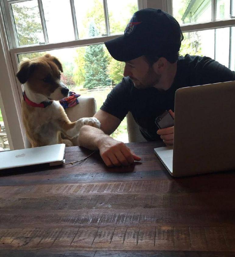 抖森当爸,抖森当爸爸了