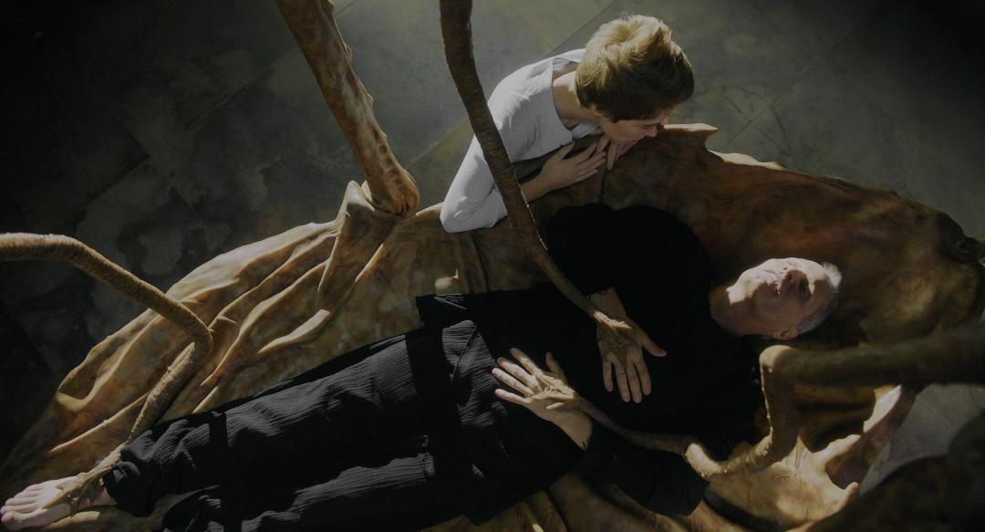 年度R级惊悚！谁还没被刷屏