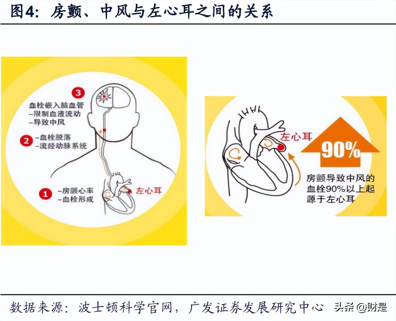 先健科技架构调整,先健科技增幅放缓