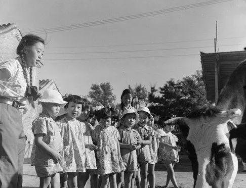 中国最牛幼儿园设计,最牛幼儿园