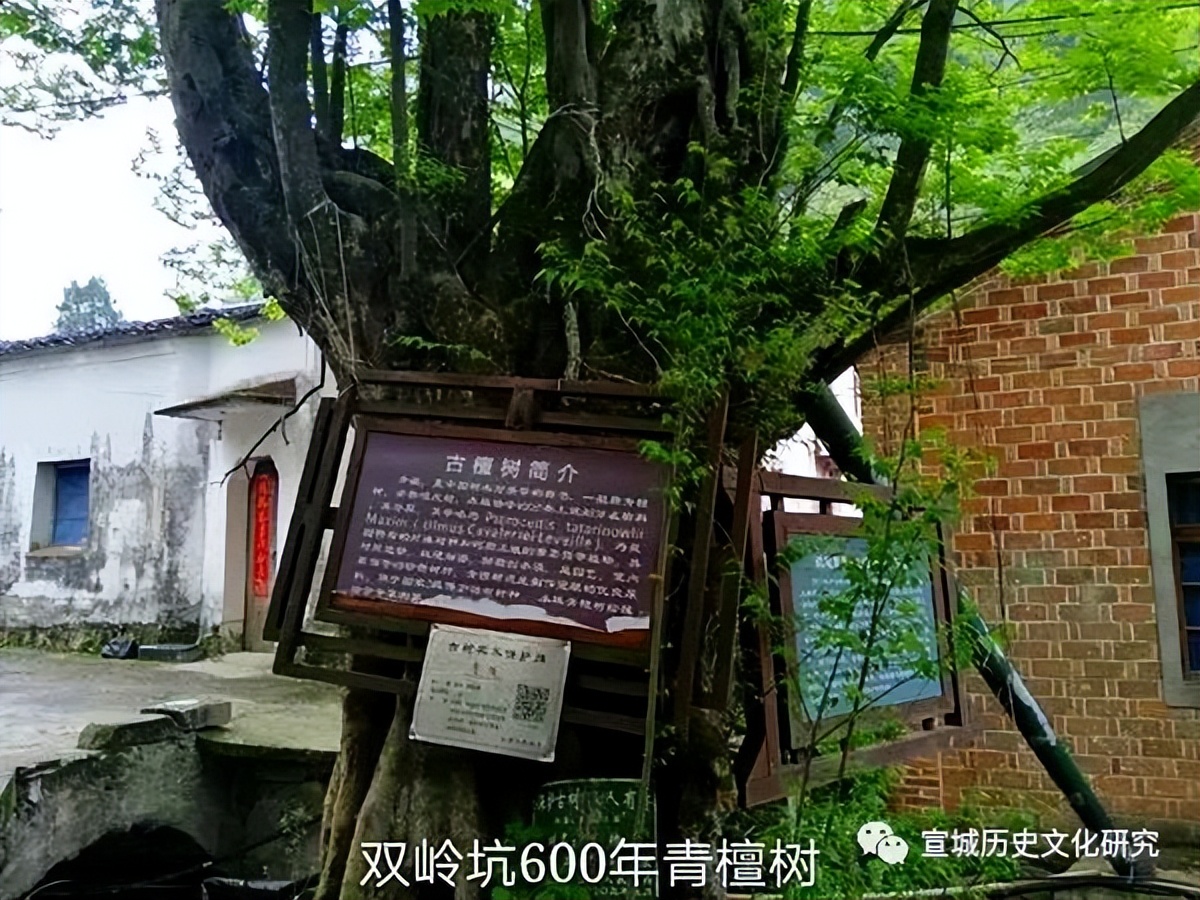 宣纸故事简单,关于宣纸的现代故事