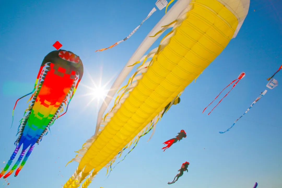 打卡不一样的潍坊，这座宝藏城市有颜又有料！