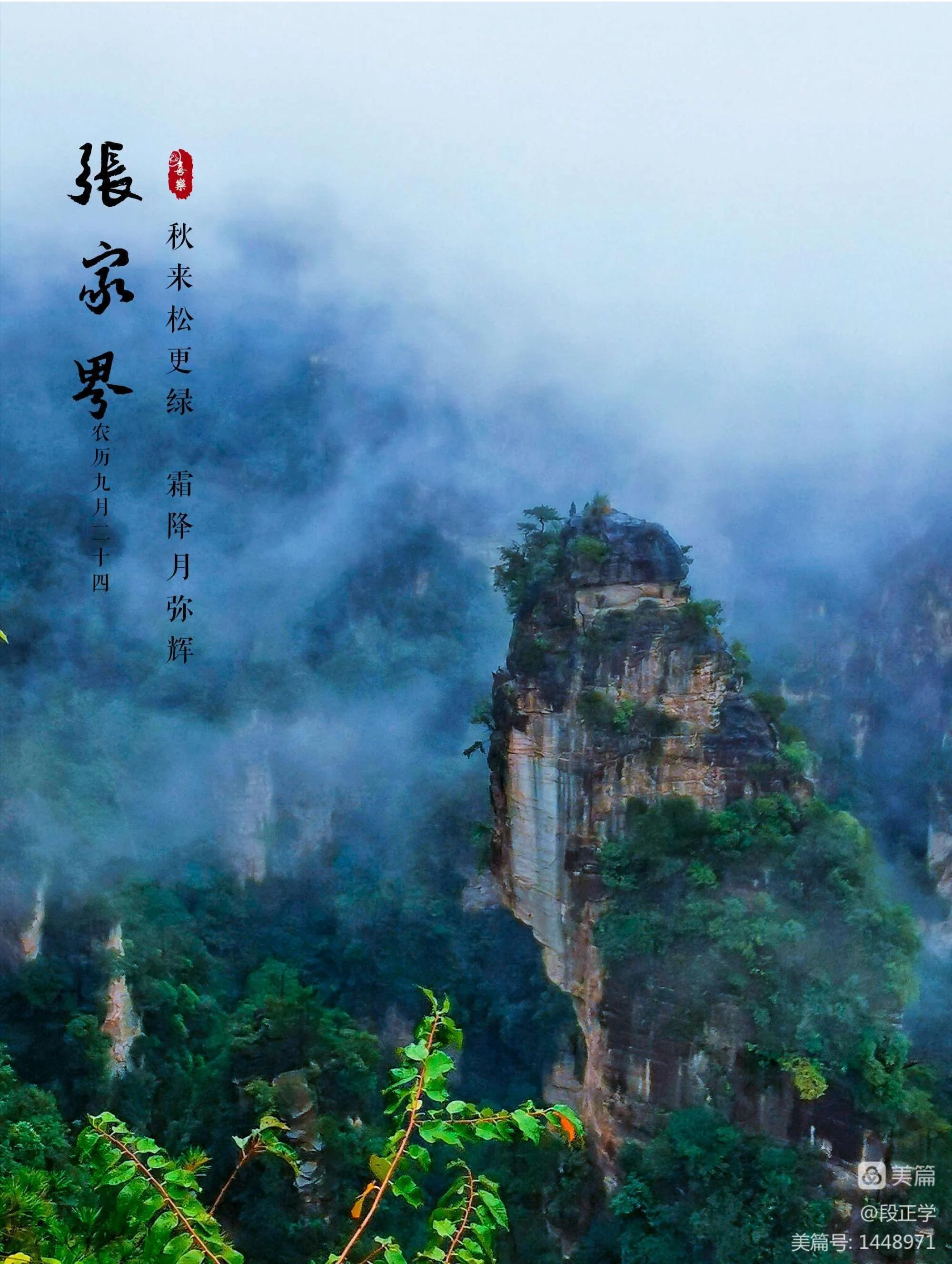 仙境张家界惊艳全世界,张家界的峰林峡谷仙境