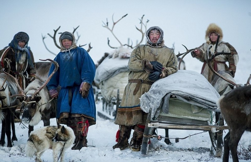 俄罗斯为什么可以征服西伯利亚,为什么俄罗斯可以征服西伯利亚