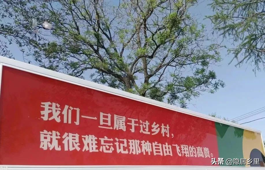 我为什么要在乡村开店——写给楚楚咖啡馆