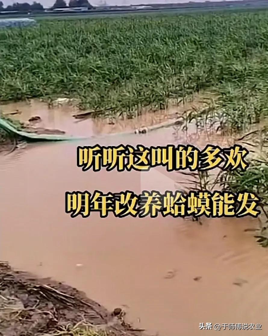 今年一龙治水有啥含义,2024一龙治水