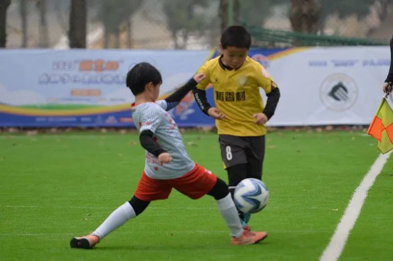 绿茵小将比赛视频,绿茵小将