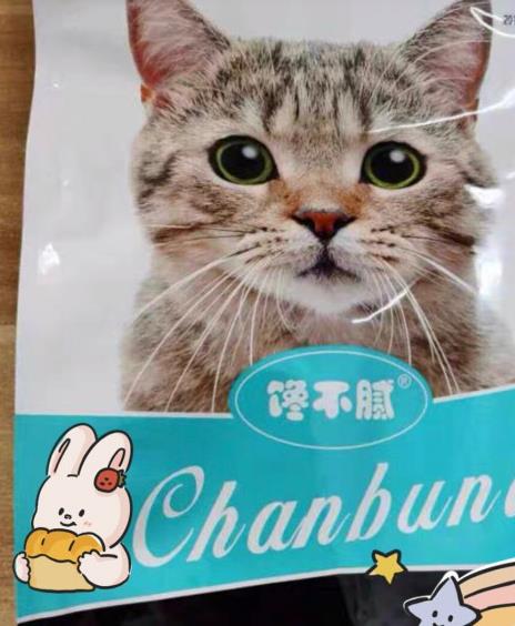 怎么养猫能越养越漂亮,养猫入门怎么养猫比较好