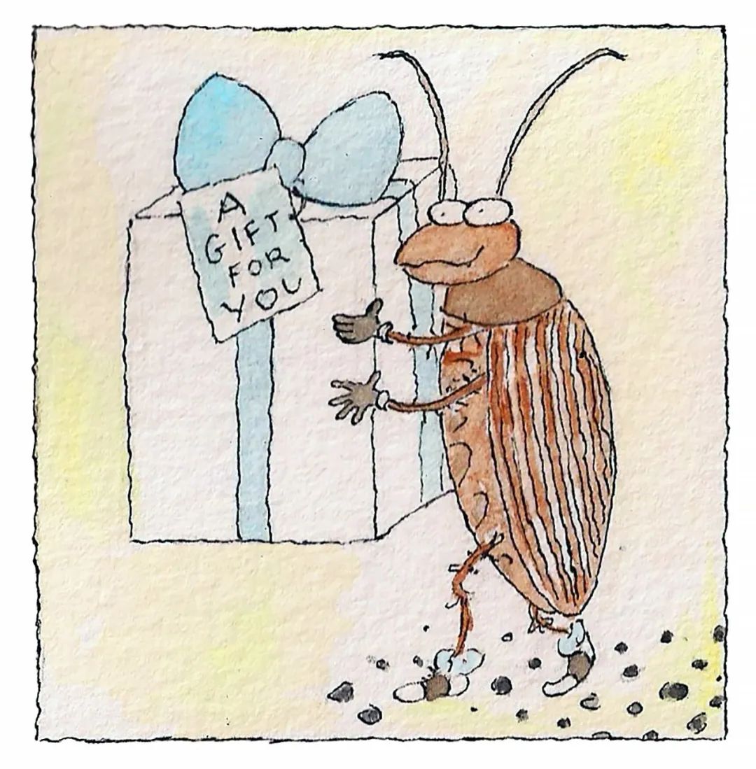 为什么蟑螂这么难被消灭,蟑螂为什么这么难消灭呢