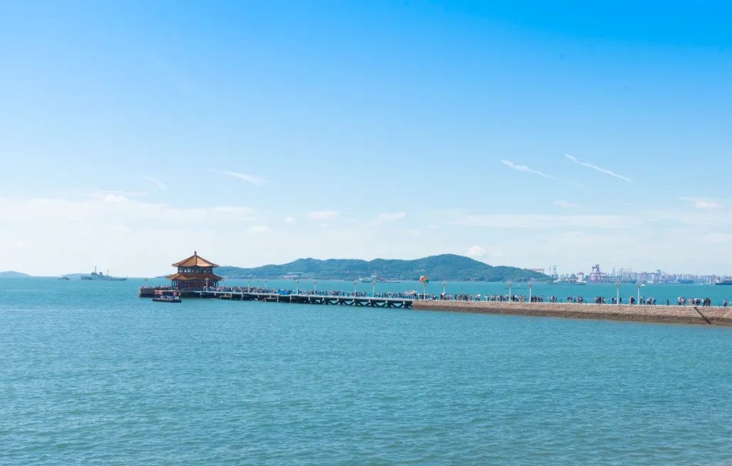 青岛绝美的一条路,青岛都是树的风景路