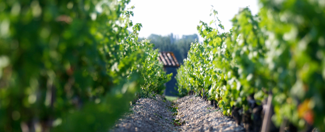 木桐副牌葡萄酒2016,木桐副牌红酒2017