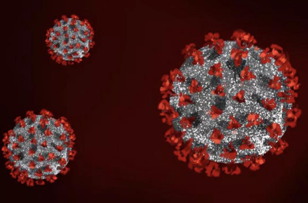 新毒王比德尔塔传染性还要强么,奥密克戎变异最新消息
