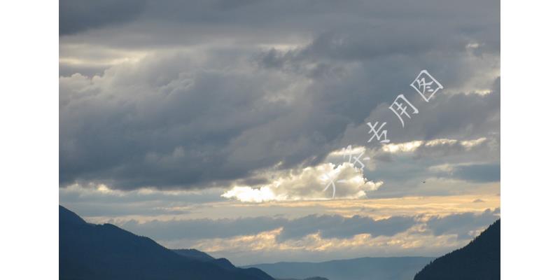 女子怀孕8个月被赶出家门,怀孕七个月被赶出家门