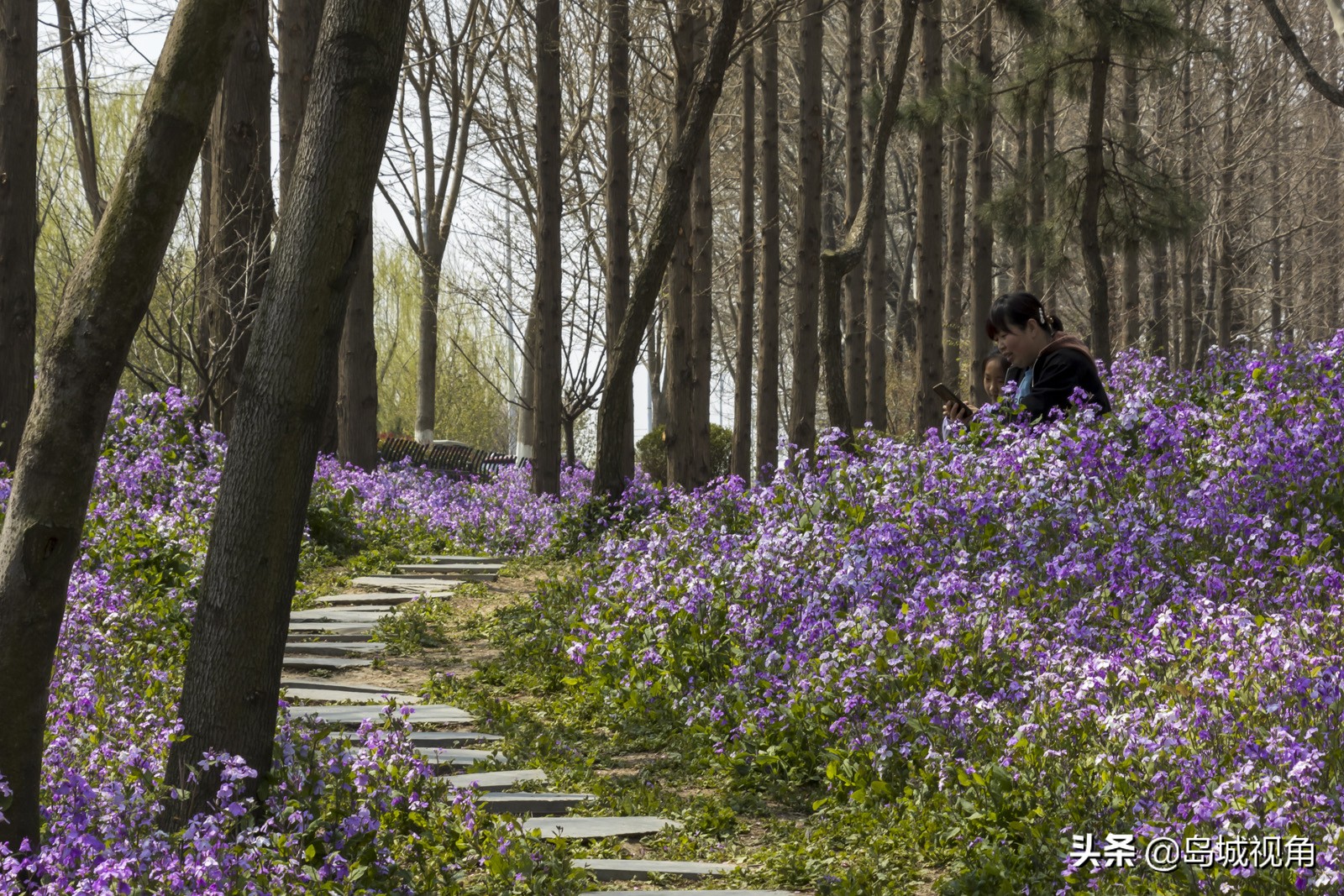 美丽的海滨城市青岛胶州,青岛胶州市美景