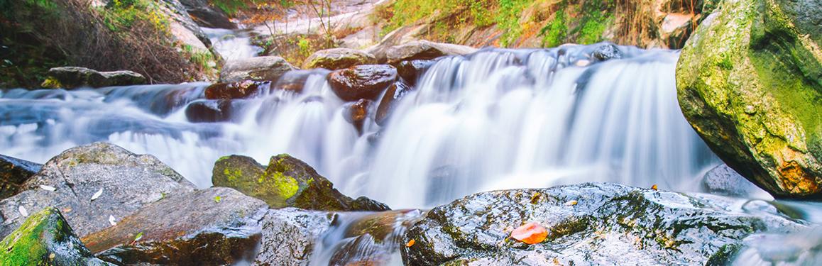 京客网：中文域名.网址域名助云南云上花下水业开展互联网营销