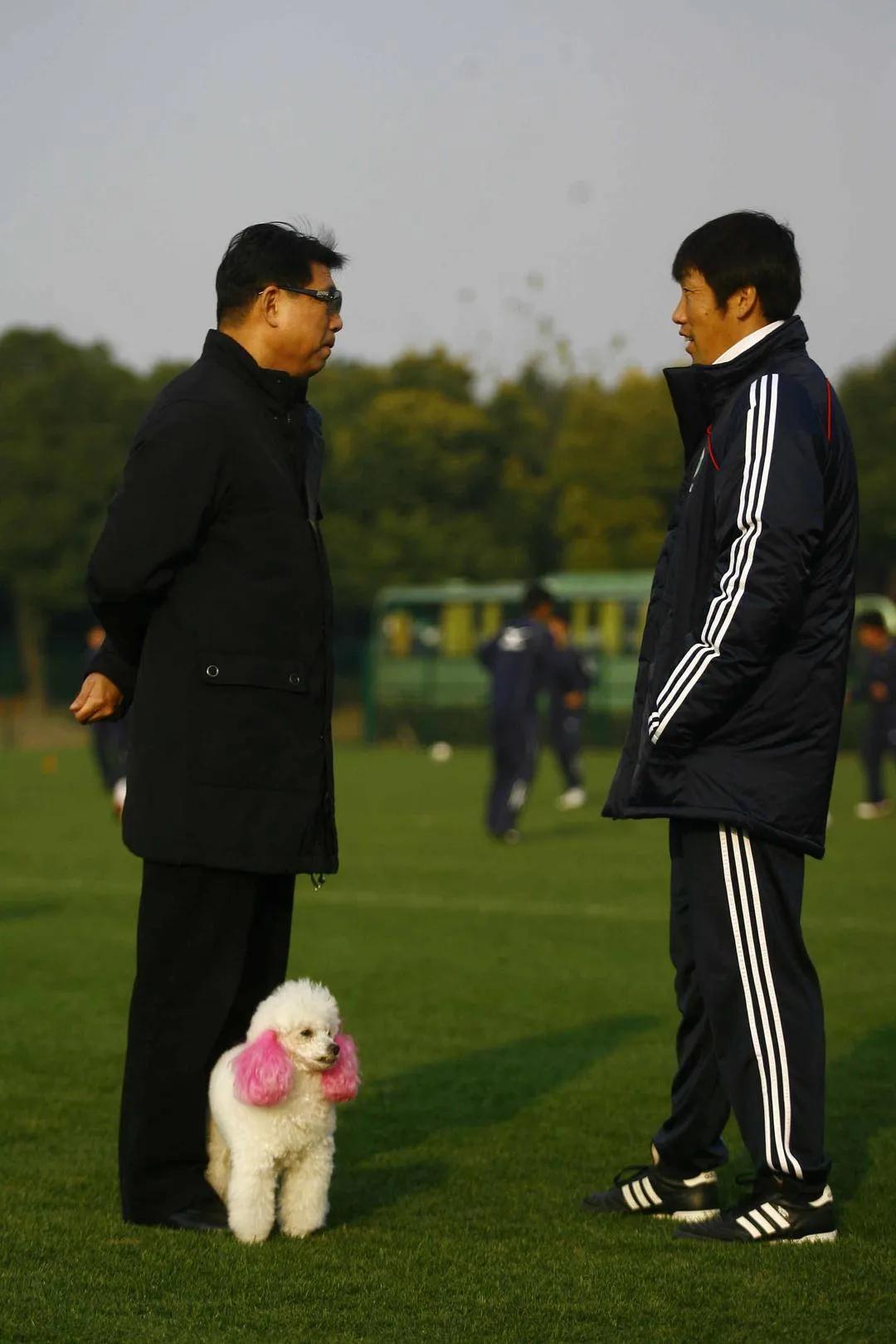 曼联复兴最新信息,曼联复兴之路