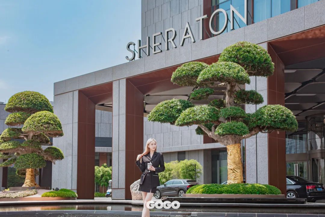 澶忔棩钘忓尶灏忚,澶忔棩钘忓尶