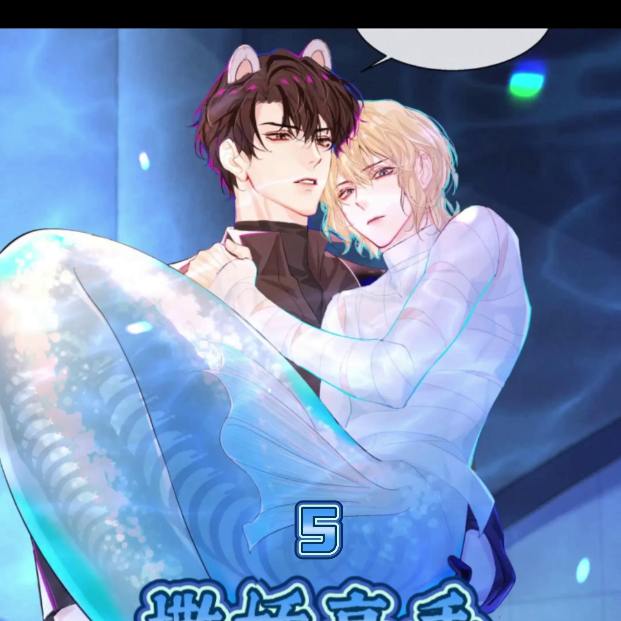 兰波白楚年,兰波白楚年cp名叫什么