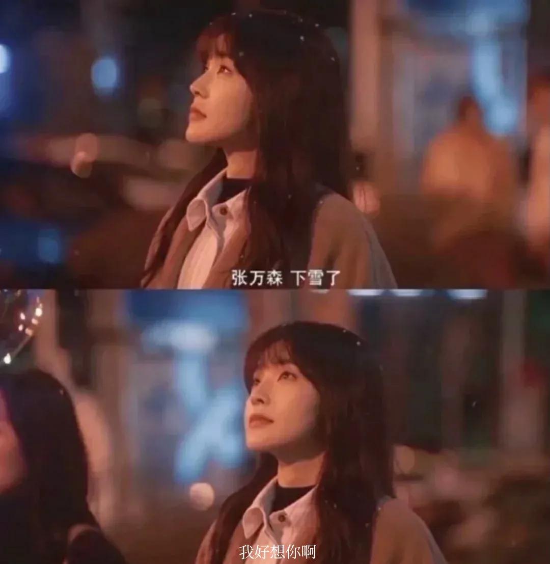 关于张万森最好的文案,关于张万森和林北星的文案