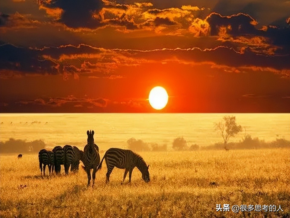 南非为何hiv高,南非是如何成为发达国家的