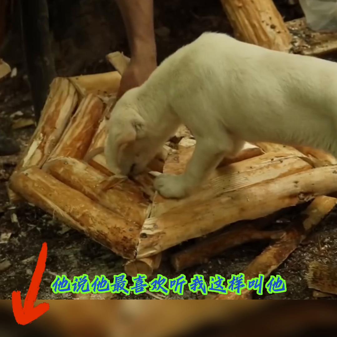 抖音故事推文爆款最新,抖音故事大全完整版